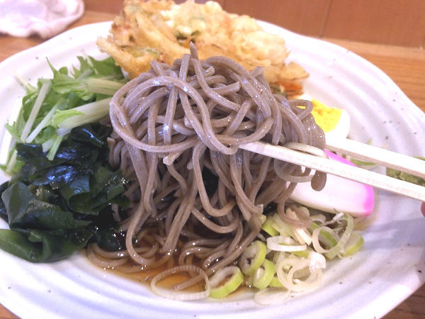 お蕎麦のアップ.JPG