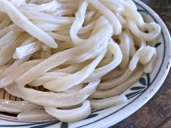 うどんのアップ.JPG