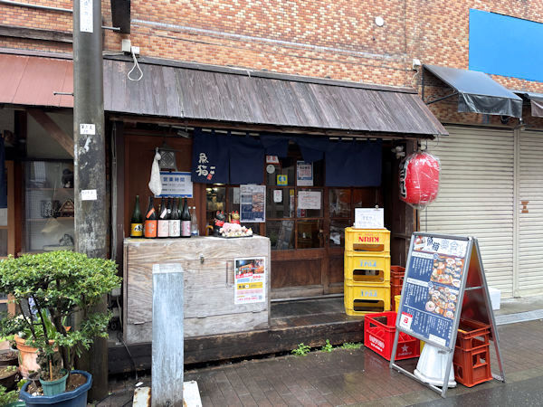 魚猫.JPG