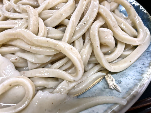 饂飩のアップ.JPG