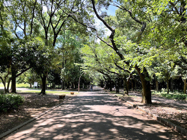 光が丘公園①.JPG