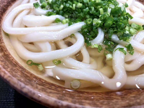 讃岐うどん.JPG