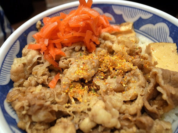紅生姜と牛丼.JPG
