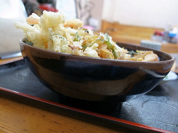 横から見たカツ丼.JPG