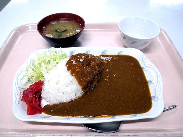 カレーライスの全容.JPG