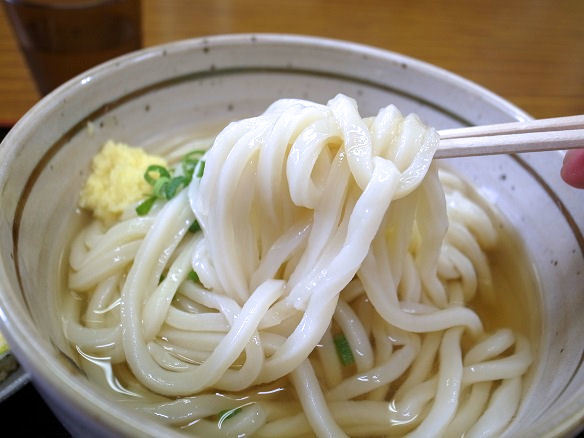うどんのアップ.JPG