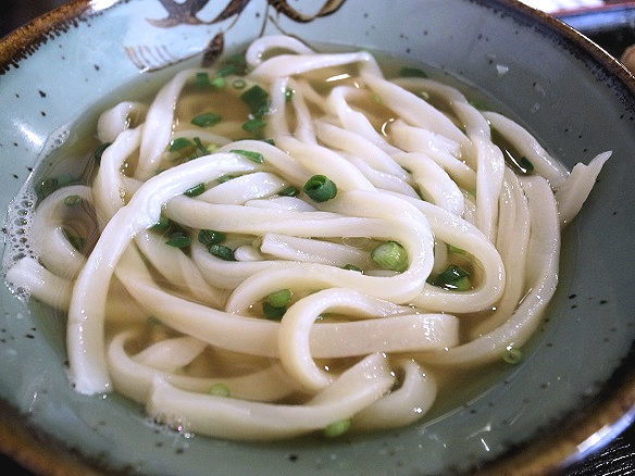 かけうどんのアップ.JPG