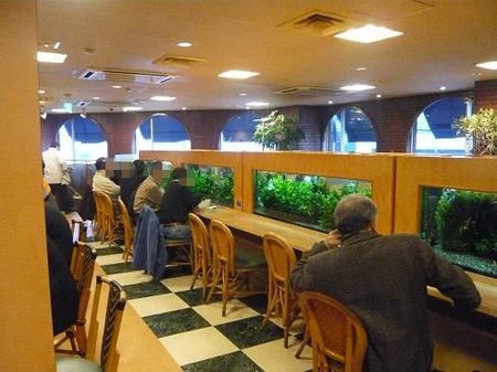 サンフラミンゴの店内.jpg