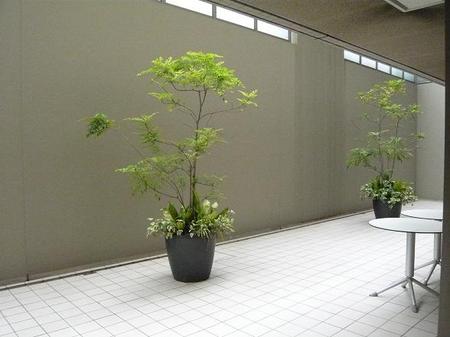 芋屋羅流ェ門のオープンテラス.jpg