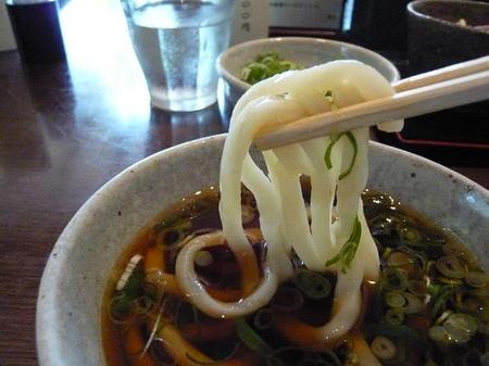 釜揚げうどんのアップ.jpg